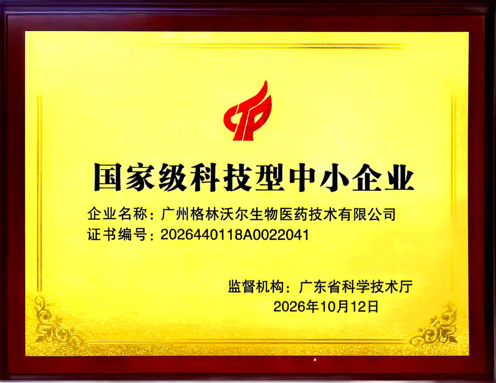专利